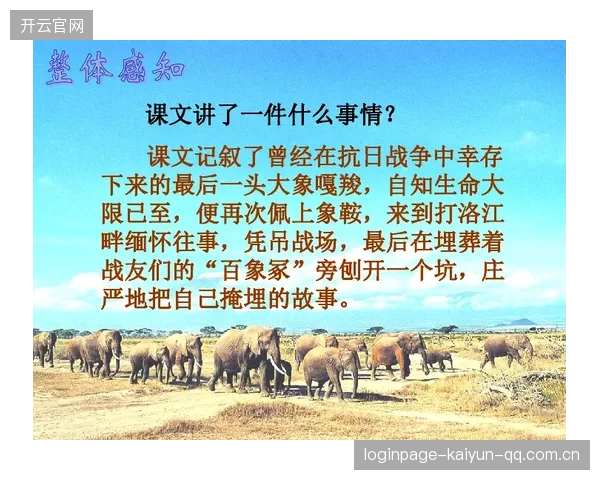 《__《KnowMyName》的深层意义：从音乐到生命的自知之路》_